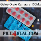 Gelée Orale Kamagra 100Mg new14